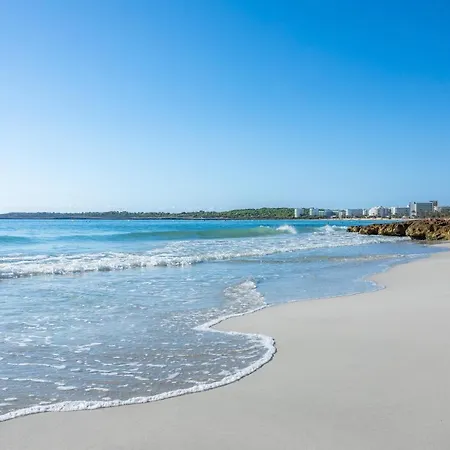 Apto Con Terraza 104 *