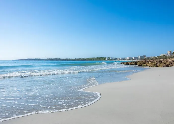 Apto Con Terraza 104 *